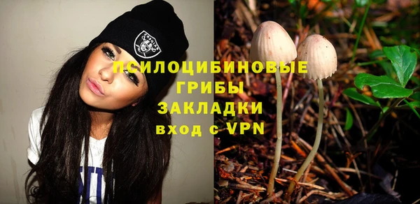 прущие крисы Верхний Тагил