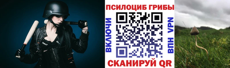 Псилоцибиновые грибы Psilocybe  купить   Норильск 